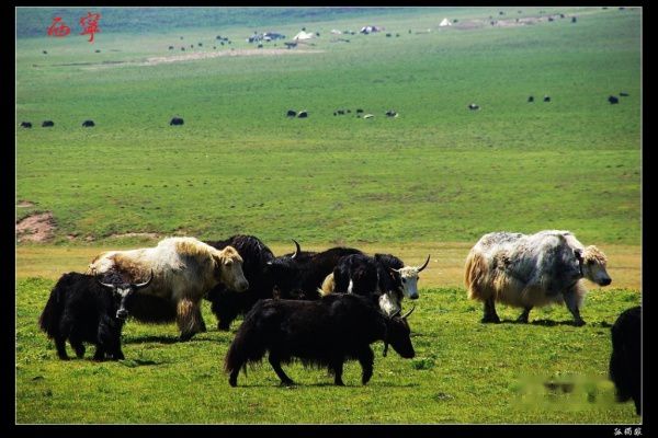查看照片详细信息 天下民宿