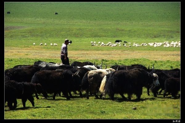 查看照片详细信息 天下民宿