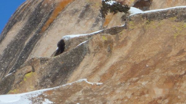 查看照片详细信息 天下民宿