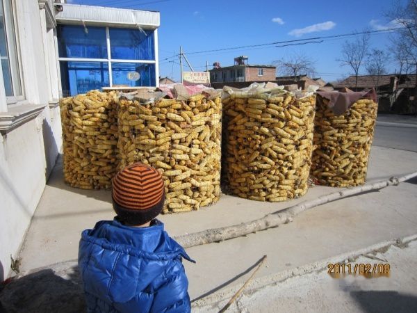 查看照片详细信息 天下民宿