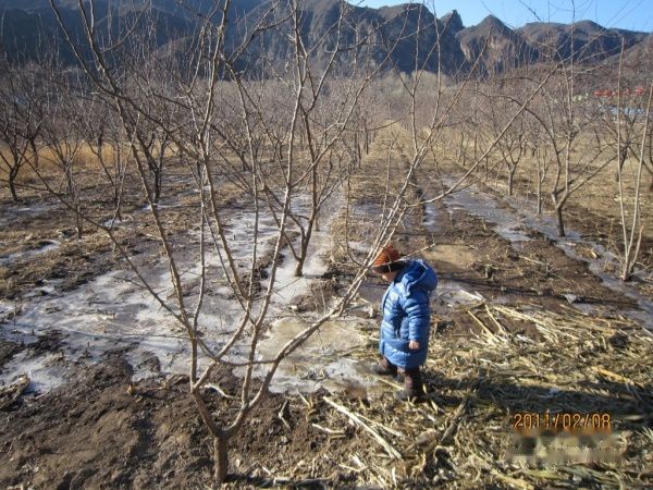 查看照片详细信息 天下民宿