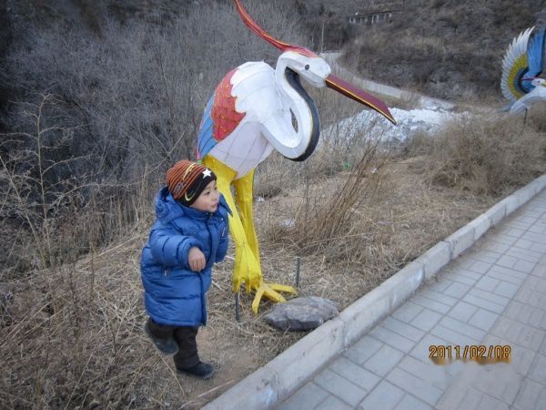 查看照片详细信息 天下民宿