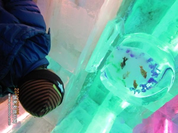 查看照片详细信息 天下民宿