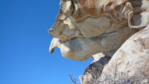 查看照片详细信息 天下民宿