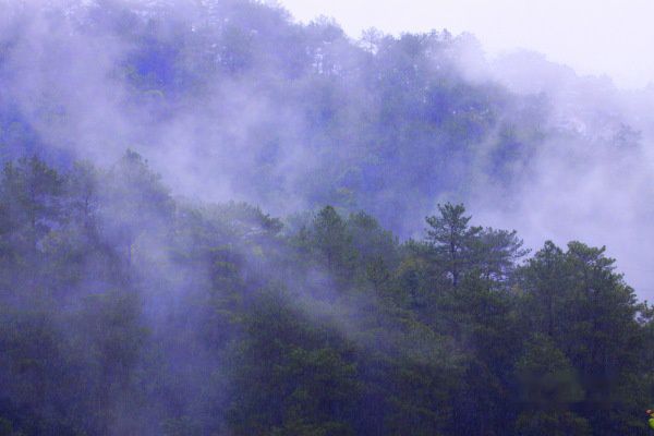 查看照片详细信息 天下民宿