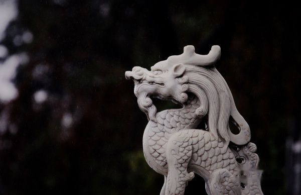 查看照片详细信息 天下民宿