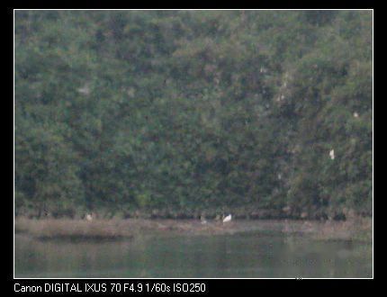 查看照片详细信息 天下民宿