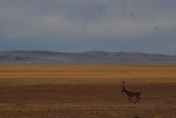 查看照片详细信息 天下民宿