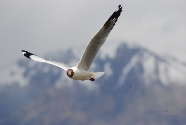 查看照片详细信息 天下民宿