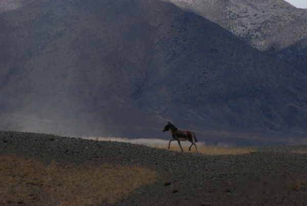 查看照片详细信息 天下民宿