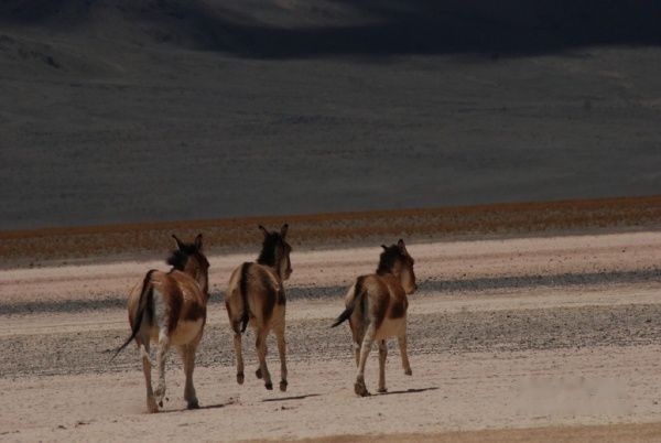 查看照片详细信息 天下民宿