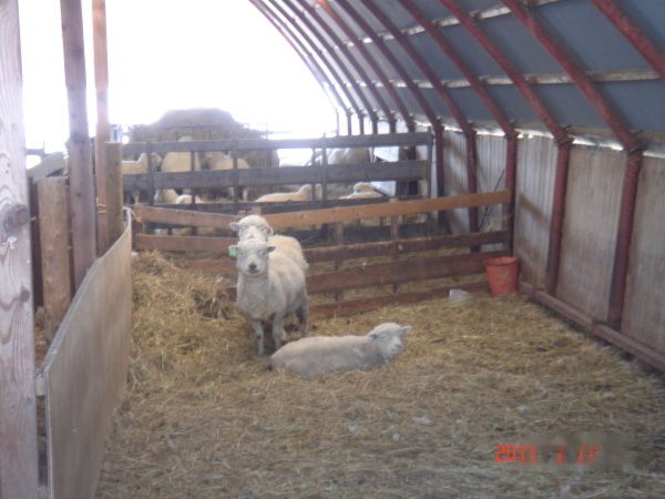 查看照片详细信息 天下民宿