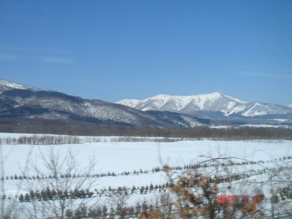 查看照片详细信息 天下民宿