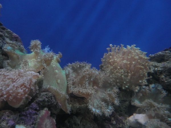 查看照片详细信息 天下民宿