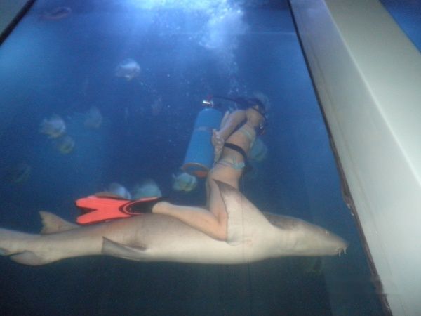 查看照片详细信息 天下民宿