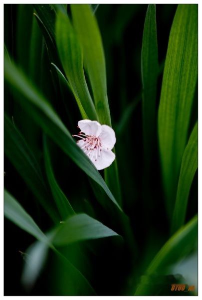 查看照片详细信息 天下民宿