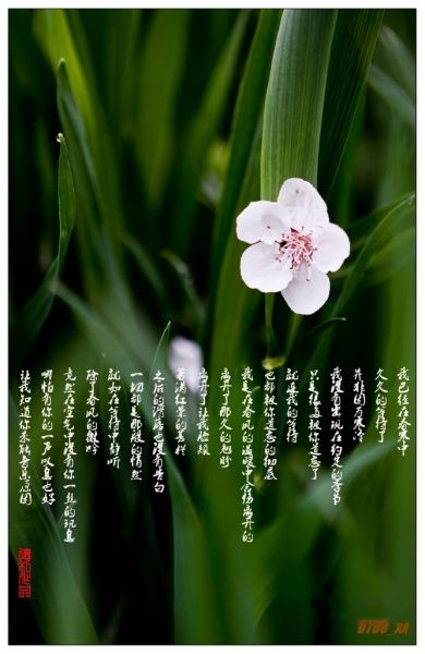 查看照片详细信息 天下民宿