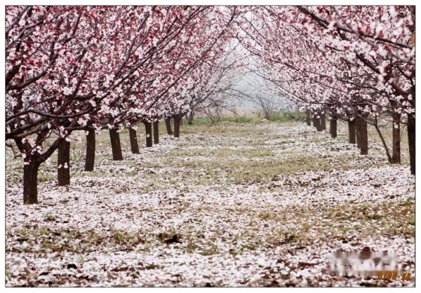 查看照片详细信息 天下民宿