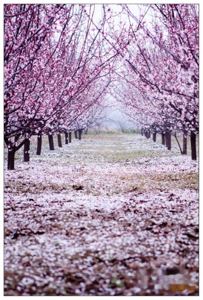 查看照片详细信息 天下民宿