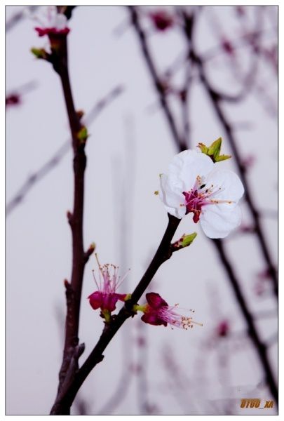 查看照片详细信息 天下民宿