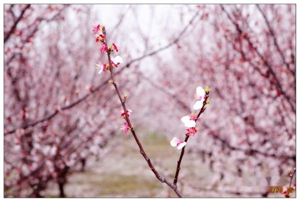 查看照片详细信息 天下民宿