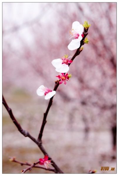 查看照片详细信息 天下民宿