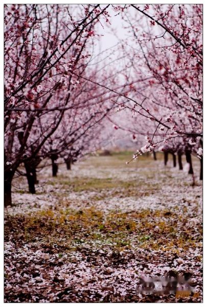 查看照片详细信息 天下民宿