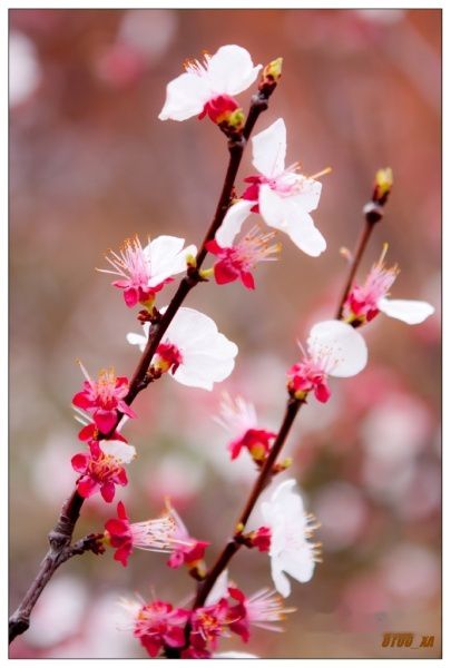 查看照片详细信息 天下民宿