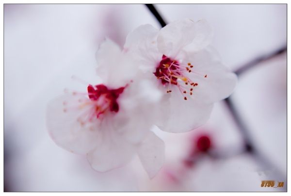 查看照片详细信息 天下民宿