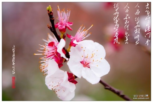 查看照片详细信息 天下民宿