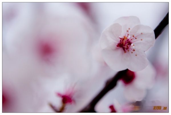 查看照片详细信息 天下民宿