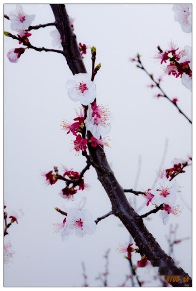 查看照片详细信息 天下民宿