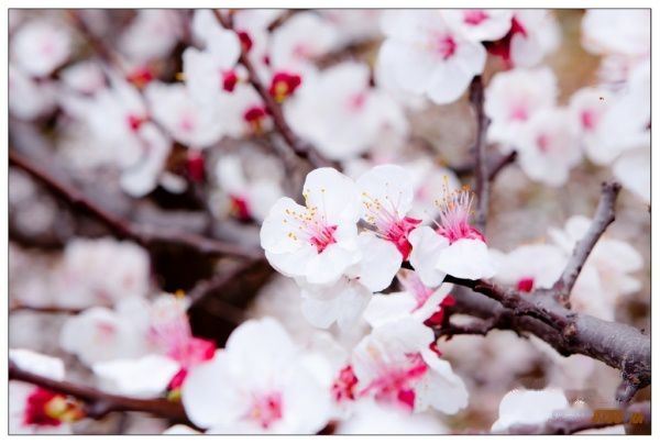 查看照片详细信息 天下民宿