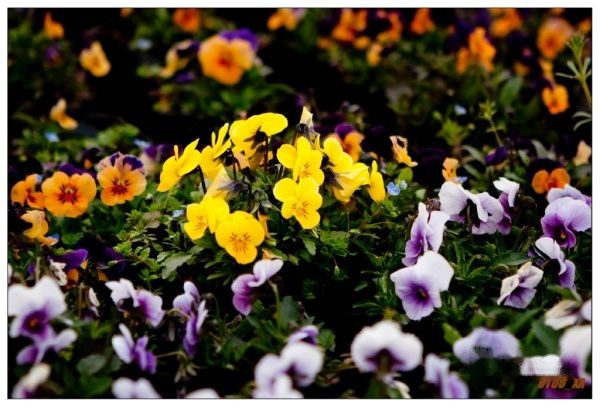 查看照片详细信息 天下民宿