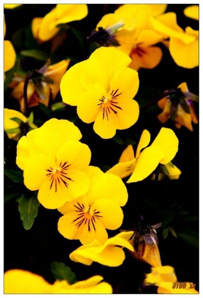 查看照片详细信息 天下民宿