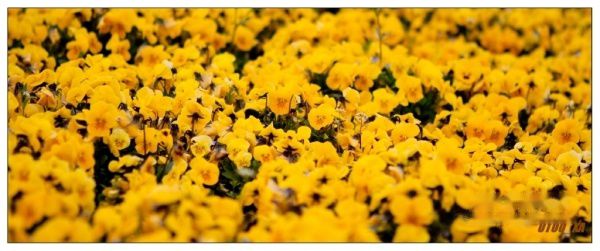 查看照片详细信息 天下民宿