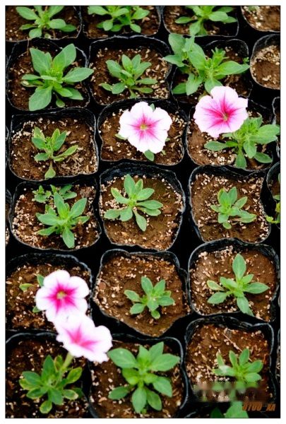 查看照片详细信息 天下民宿