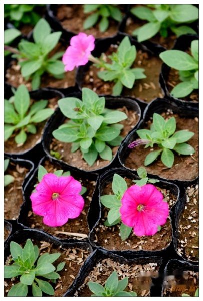 查看照片详细信息 天下民宿