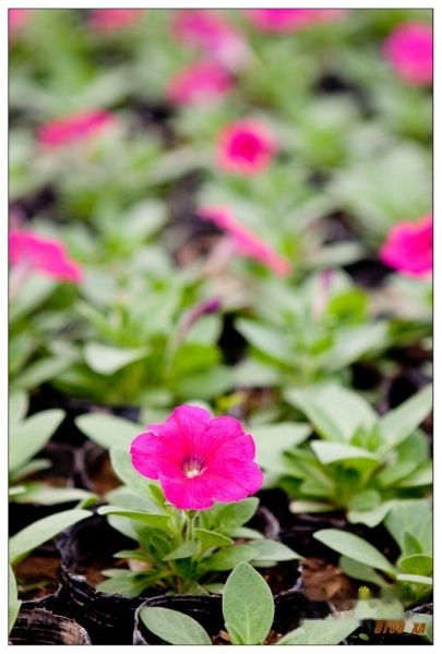 查看照片详细信息 天下民宿