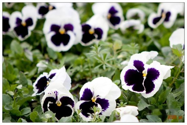 查看照片详细信息 天下民宿