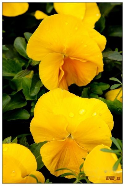 查看照片详细信息 天下民宿