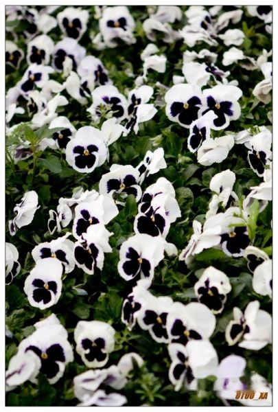 查看照片详细信息 天下民宿