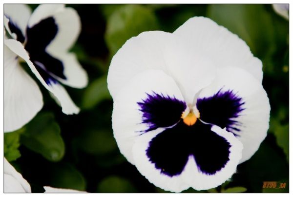 查看照片详细信息 天下民宿