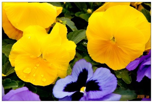 查看照片详细信息 天下民宿