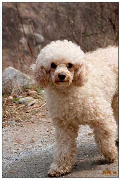 查看照片详细信息 天下民宿