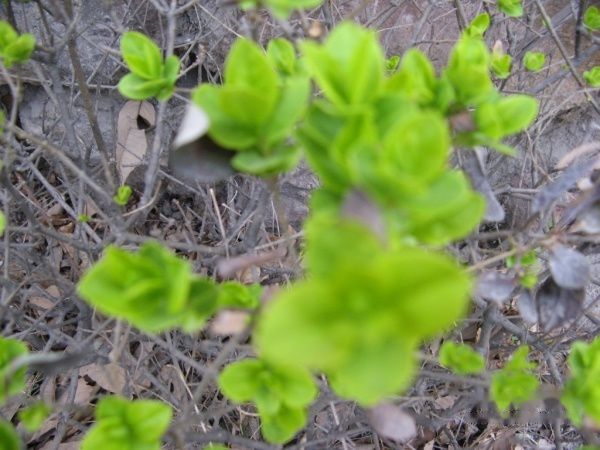 查看照片详细信息 天下民宿