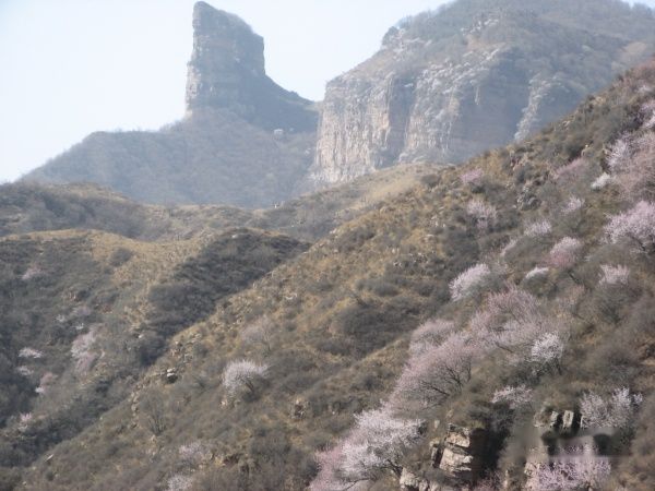 查看照片详细信息 天下民宿