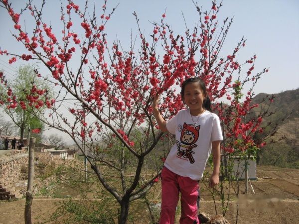 查看照片详细信息 天下民宿