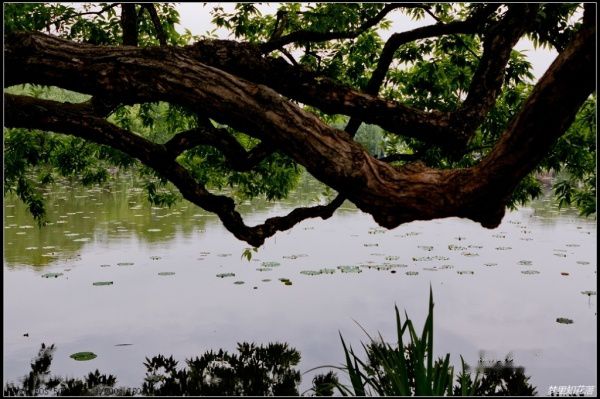 查看照片详细信息 天下民宿