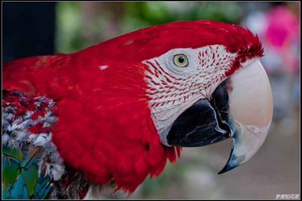 查看照片详细信息 天下民宿